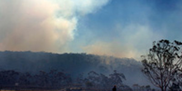 Аэропорт Мельбурна приостановил работу из-за лесных пожаров