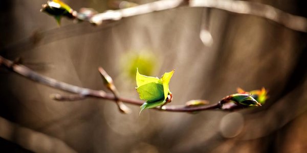 Завтра в Приморье будет облачно, но тепло