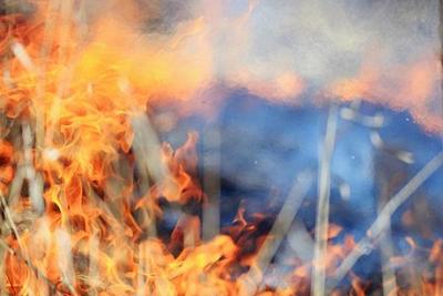 Сухая и ветреная погода может повысить угрозу пожаров в Приморье