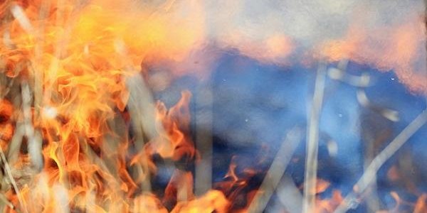 Сухая и ветреная погода может повысить угрозу пожаров в Приморье