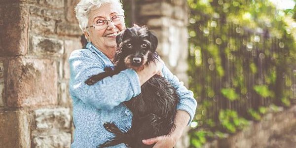 Пожилым людям необходимо заводить животных, уверены неврологи