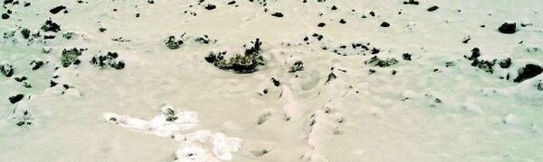 Зеленый снег выпал в Челябинске