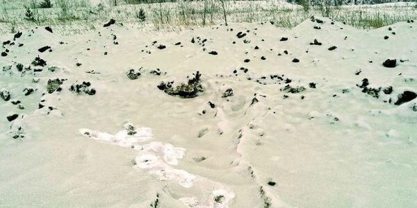 Зеленый снег выпал в Челябинске