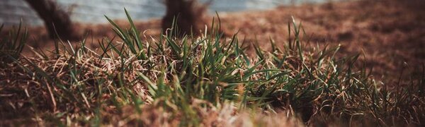 Глобальное потепление стало причиной теплой зимы в России