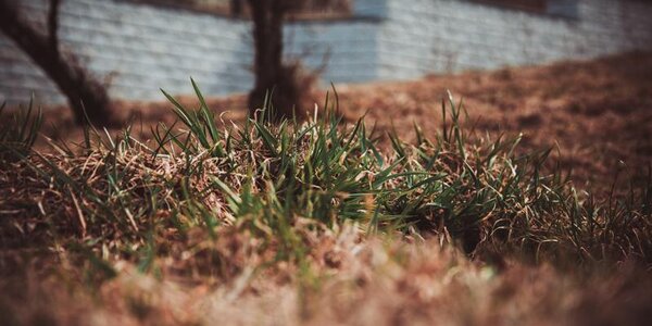 Глобальное потепление стало причиной теплой зимы в России