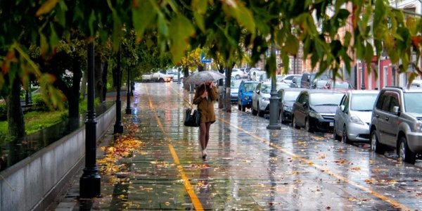 Циклон принес в Приморье до двух декадных норм дождя и первый снег