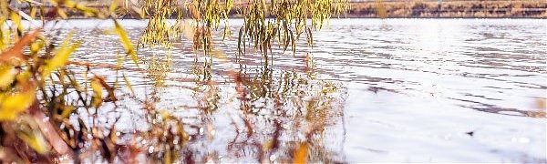 Чем дышал Владивосток с 21 по 30 сентября?