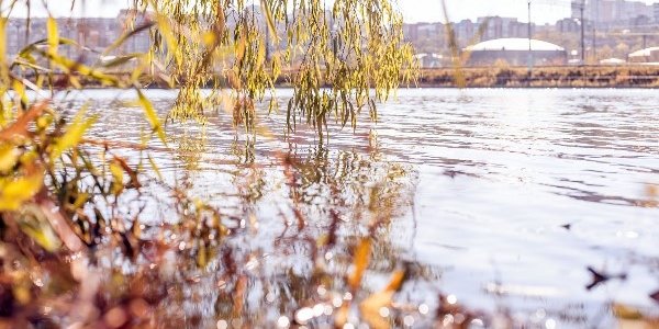 Чем дышал Владивосток с 21 по 30 сентября?