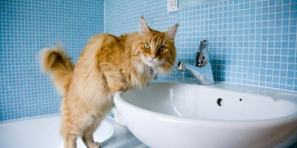 Часть домов Владивостока отключили от горячей воды