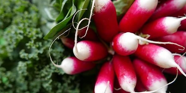 12 и 13 мая во Владивостоке пройдёт общегородская продуктовая ярмарка