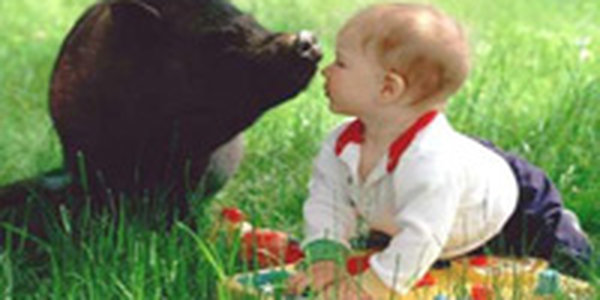 Поздравляем победителей конкурса Мы с тобой одной крови!