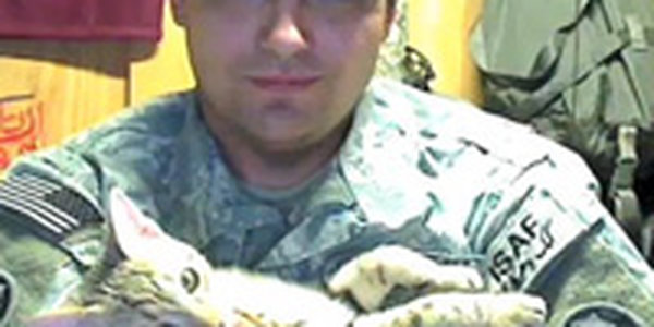 Американский военный вывез из Афганистана кота по кличке Кошка