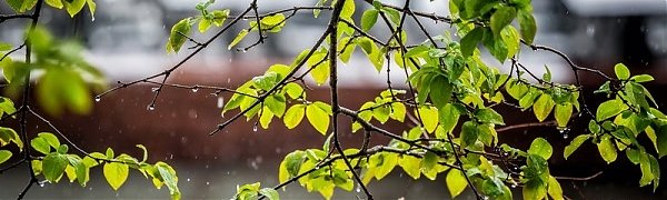 Дожди обрушатся на Приморье