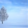 Первая декада января в Приморье выдалась умеренно-морозной