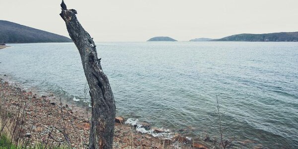 В пятницу погода в Приморье начнет ухудшаться