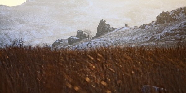 К концу недели морозы в Приморье ослабнут