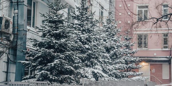 Во вторник в Приморье выпало до 5 мм снега (ФОТО)