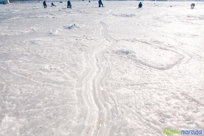В заливе Петра Великого толщина льда достигает 40 см