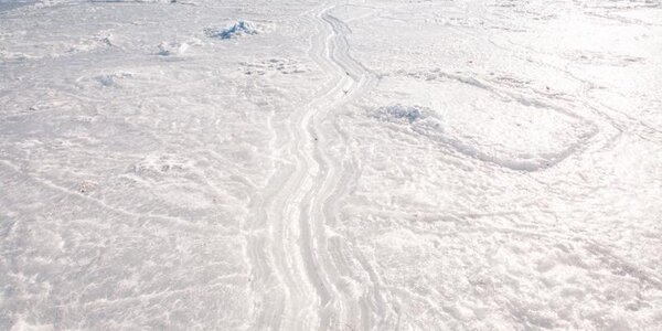 В заливе Петра Великого толщина льда достигает 40 см