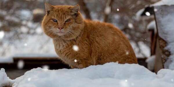 День 13 января стал самым теплым в Приморье с начала 2021 года
