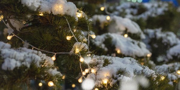 Мощный снежный циклон со штормовым ветром накроет Приморье 15 — 16 января (ТРАЕКТОРИЯ)