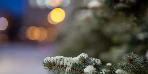 В четверг на севере Приморья выпало до 2 мм снега