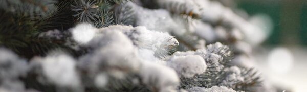 В понедельник Приморье окажется во власти нового циклона