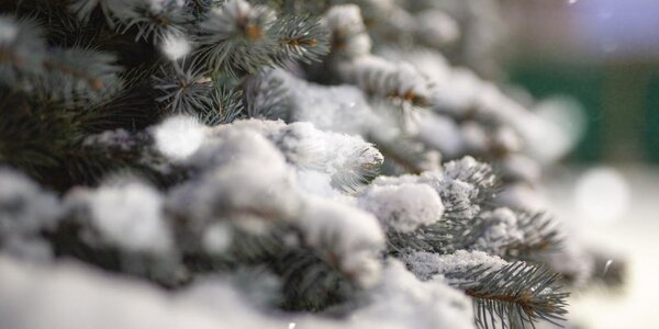 В понедельник Приморье окажется во власти нового циклона