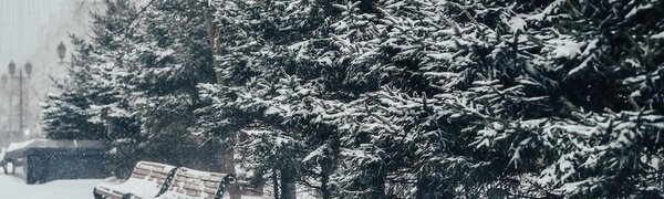 Снег в южной половине Приморья ожидается во вторник