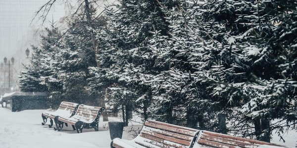 Снег в южной половине Приморья ожидается во вторник