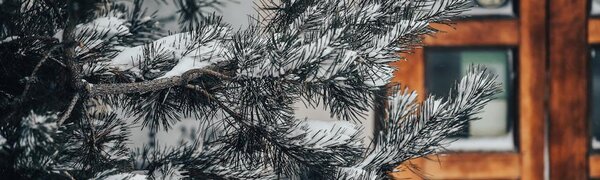 На этой неделе Приморье окажется под влиянием трех циклонов