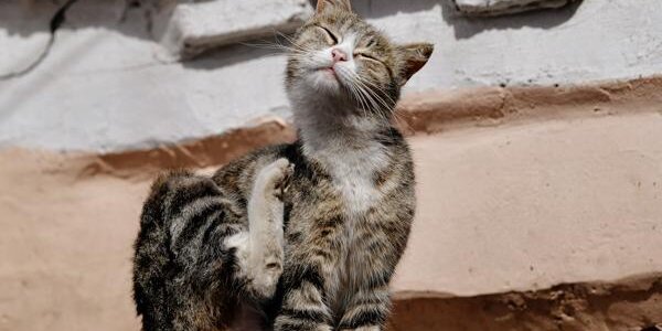 Дневные температуры в Приморье уверенно идут на повышение