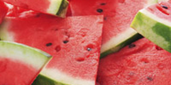 «Бракованные» арбузы могут стать источником биотоплива
