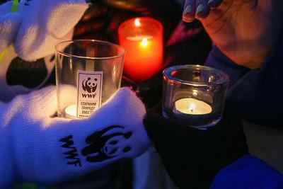 Владивосток присоединится к международной экологической акции «Час Земли»