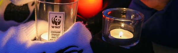 Владивосток присоединится к международной экологической акции «Час Земли»