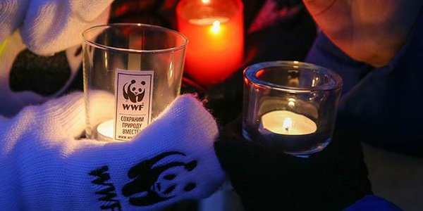 Владивосток присоединится к международной экологической акции «Час Земли»