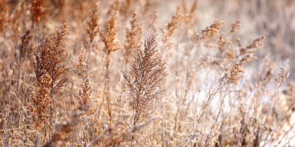 После тёплых выходных в Приморье немного похолодает