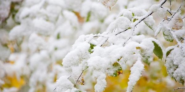 На Дальнем Востоке выпал первый снег