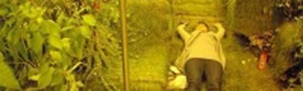 Зеленый вагон в Чикагском метро