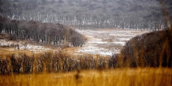 Холода в Приморье пришли вместе со штормовым ветром