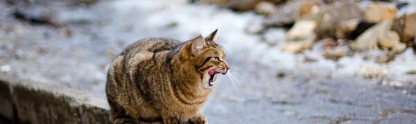 Температуры, установившиеся в Приморье, характерны концу февраля — началу марта