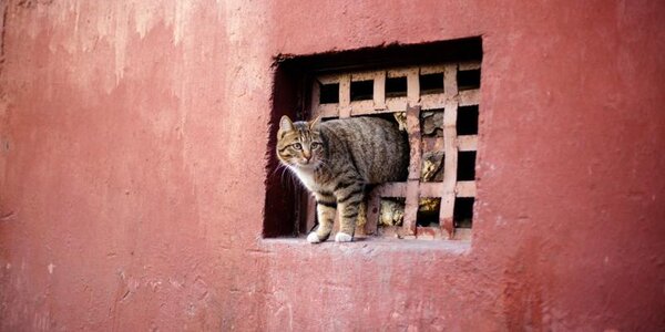 Погода в Приморье взяла курс на потепление