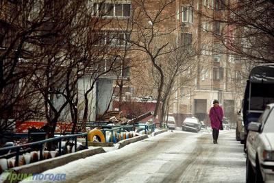 Зима возвратится в Приморье на выходных: снег, ветер, похолодание 