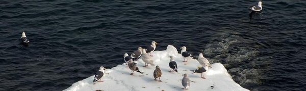 Первые выходные февраля в Приморье были умеренно морозными