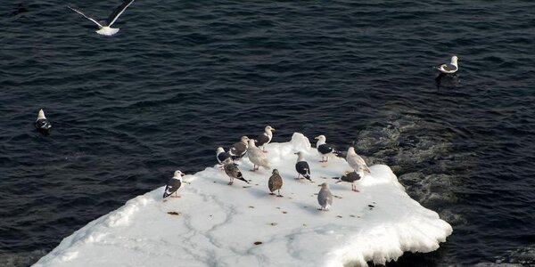 Первые выходные февраля в Приморье были умеренно морозными