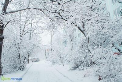 Циклон из Китая принесет в Приморье снег различной интенсивности в пятницу