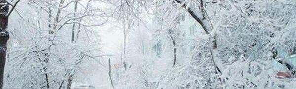 Циклон из Китая принесет в Приморье снег различной интенсивности в пятницу