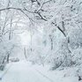 Циклон из Китая принесет в Приморье снег различной интенсивности в пятницу