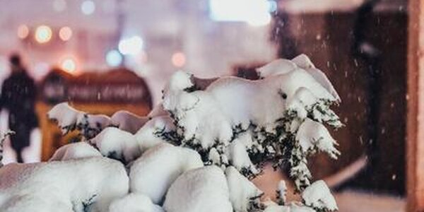 Снег в Приморье начнет прекращаться в четверг