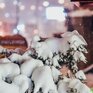 Снег в Приморье начнет прекращаться в четверг